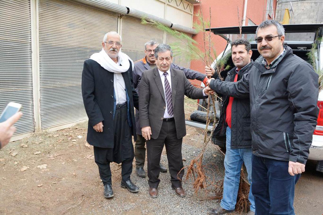 Viranşehir'de 10 bin fidan dağıtıldı